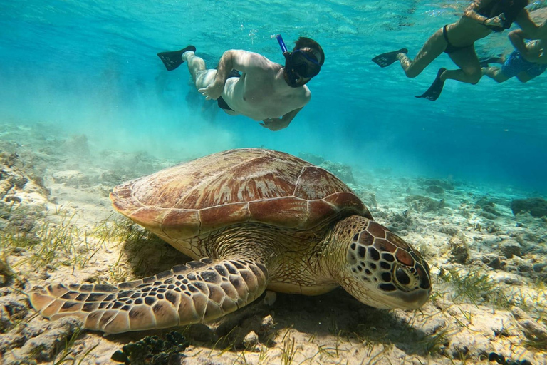 Isla Gili : Excursión privada de snorkel 3 Isla Gili + GOPRO