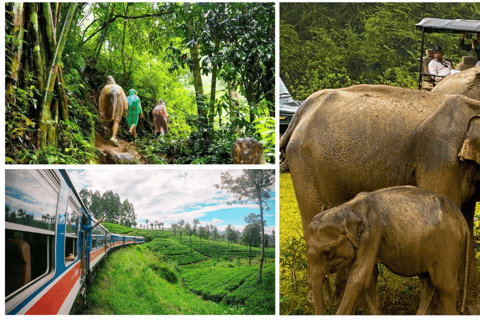 Wildlife wonders of Sri Lanka 5 day tour