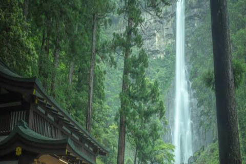 Wakayama: Private Tour to Nachi Falls & Mount Koya