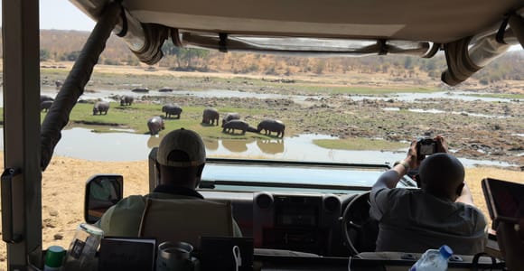 2-Day Nyerere National Park Safari from Zanzibar by Flight