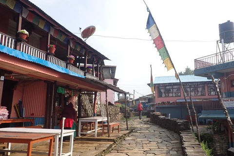 Pokhara : trek de 4 jours au Mardi Himal avec guide et hébergementPokhara : Trek de 4 jours au Mardi Himal avec guide et hébergement