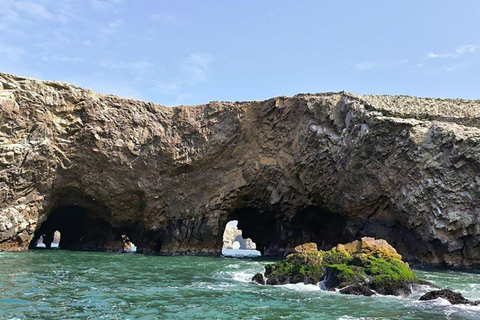 From Paracas: Ballestas Islands and Paracas National Reserve