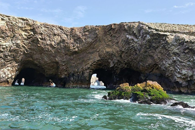 Desde Paracas: Islas Ballestas y Reserva Nacional de Paracas