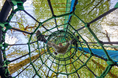 Windermere: Treetop bouncy nets (Treetop Nets)