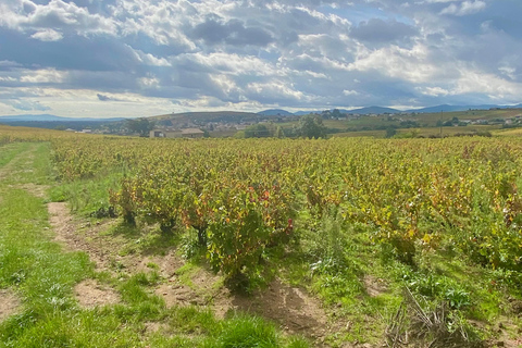 Lyon: Ausflug in die Weinberge, Weinprobe und BistronomierestaurantPrivate Tour auf Französisch