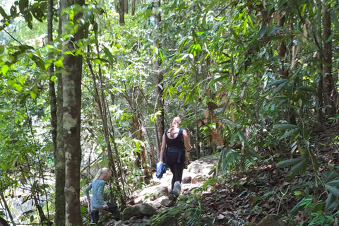 辛哈拉加雨林之旅