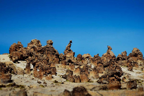 Wycieczka do wodospadów Pillones