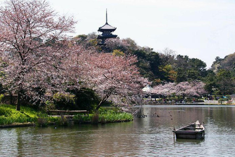 Tokyo: City One Day Private Customizable Top Places Tour
