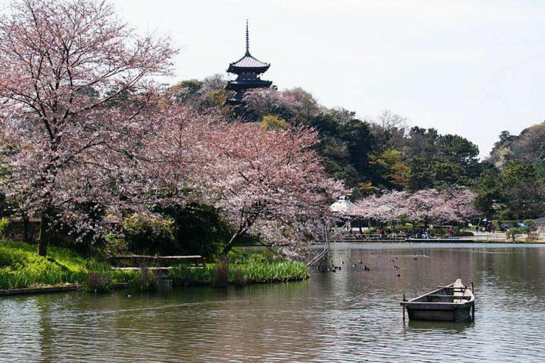 Tokyo: City One Day Private Customizable Top Places Tour