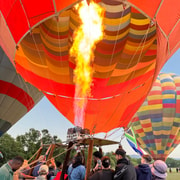 Private Johannesburg Bill Harrops Hot Air Balloon Safari | GetYourGuide