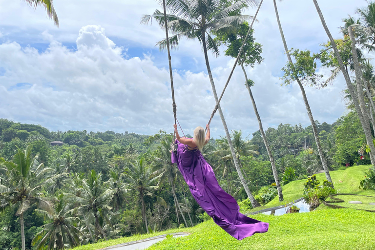 Bali: Private Ubud Highlights Tour with Customized Tour Temple, Monkey Forest, Waterfalls, & More (Without Tickets)