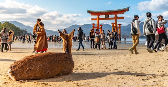 Tagestour nach Hiroshima & Miyajima mit Itsukushima-Schrein