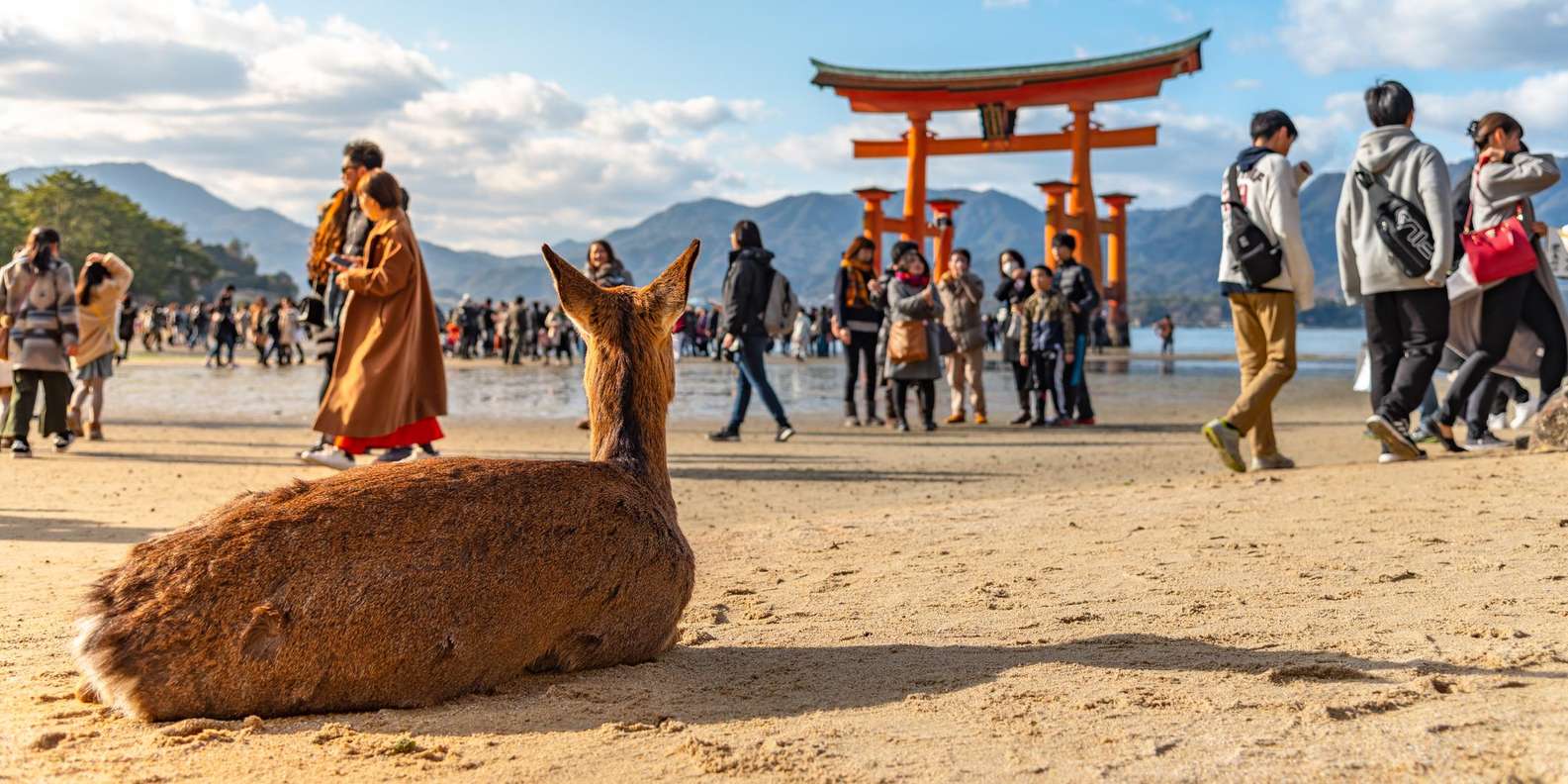 From Tokyo: Hiroshima and Miyajima Day Trip by Bullet Train