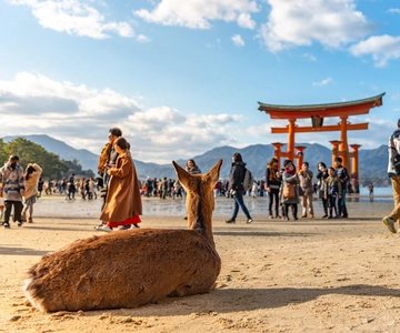 厳島神社と広島・宮島日帰りツアー