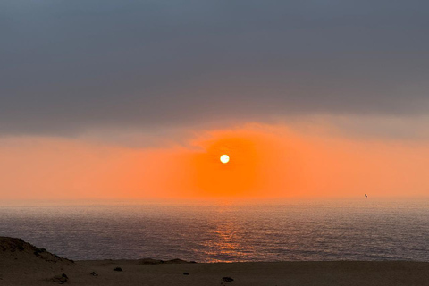 Agadir & Taghazout: Sandboarding & Canyons Adventure Tour Sandboarding & canyons Adventure Tour