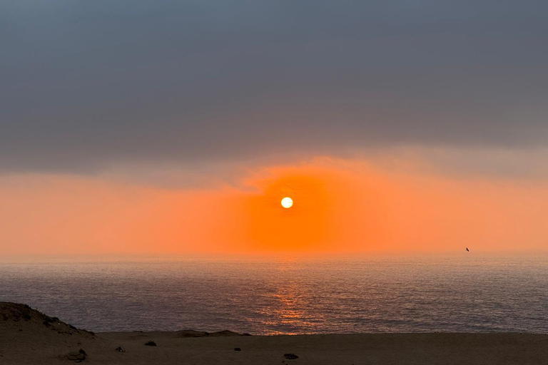 Agadir & Taghazout: Sandboarding & Canyons Adventure Tour Sandboarding & canyons Adventure Tour