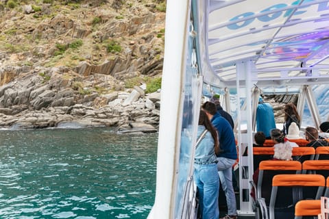 Kangaroo Island: 75-Minute Coastal Safari