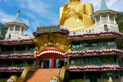 Sigiriya Rock, Dambulla Cave & Cart Rides One Day Trip Luxury Tour from Colombo, Negombo or Mount Lavinia