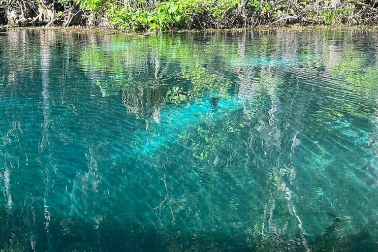 Desde Orlando: Parque Silver Springs y tour en barco con fondo de cristal