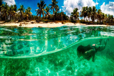 Bayahibe: Catalina Island Scuba Diving Tour with Lunch