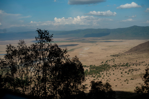 Arusha: 2-Day Lake Manyara & Ngorongoro Crater Safari
