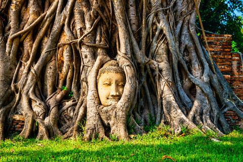 Bangkok: Ayutthaya Temples, Thai Traditions & Local Life Hotel Pickup & Drop-off (Include Entrance & Lunch)