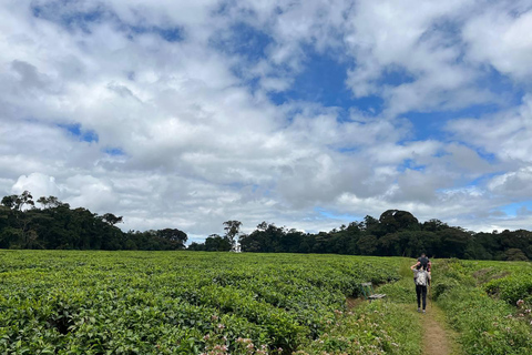 Kigali: 3-Day Culture, Canopy & Waterfalls Safari Tour