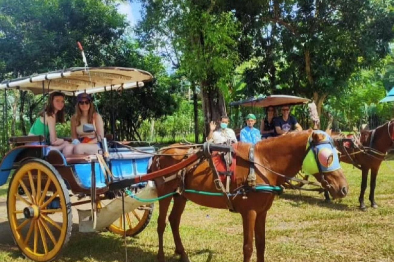 From Yogyakarta: Borobudur Temple & Candirejo Village Tour Shared Group Tour without Tickets