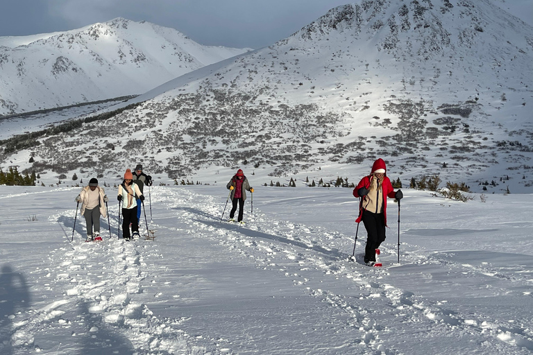 From Anchorage: Glen Alps Beginner's Snowshoeing Adventure