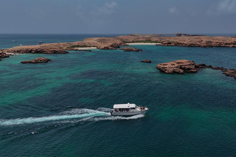 From Muscat: Dimaniyat Islands Snorkeling Tour with Lunch Dimaniyat Snorkeling Cruise with Snacks & Transfers