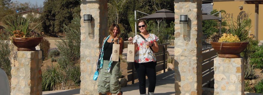 Ensenada : itinéraire des vins de la vallée de Guadalupe (visite privative)