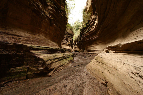 Encuentros Salvajes: Aventura en el Parque Nacional Hell&#039;s Gate