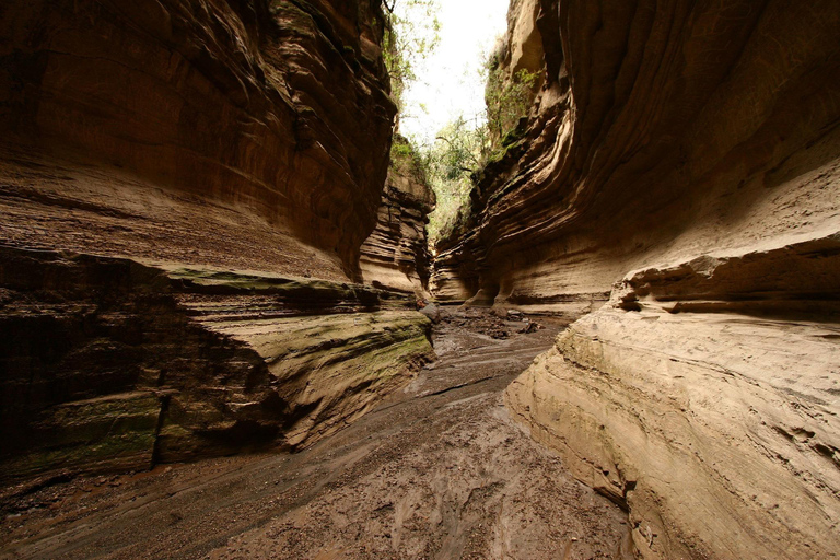 Encontros selvagens: Aventura no Parque Nacional Hell&#039;s Gate