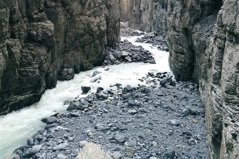 Interlaken: Grindelwald and Glacier Gorge Private Tour