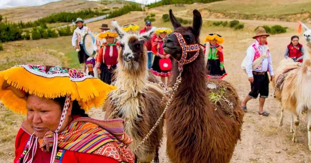 Priv Excursie Naar Chinchero Wandeling Met Alpaca S Getyourguide