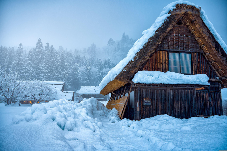 Excursion au départ de Nagoya（gujo hachiman ,Takayama &amp; Shirakawago）