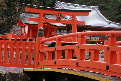 Get to know Minoo from Osaka. Katsuoji Temple, Ryuanji Waterfall and Ryuanji Temple