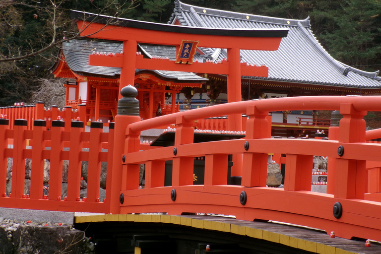 Get to know Minoo from Osaka. Katsuoji Temple, Ryuanji Waterfall and Ryuanji Temple