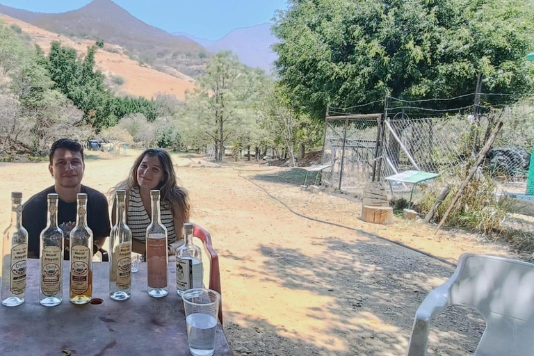 Oaxaca: Wild Agave Mountain Hike with Trail-Side Tasting
