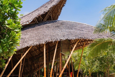 Phuket: Racha en Banana Beach per speedboot met lunch