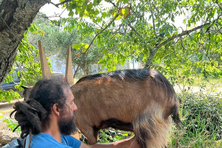 Trancoso: Tour ecologico della fattoria con degustazione