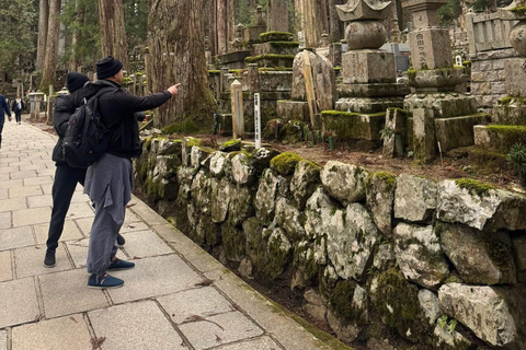 From Osaka/Kyoto: Mt. Koya & Nachi Falls Private Day Trip