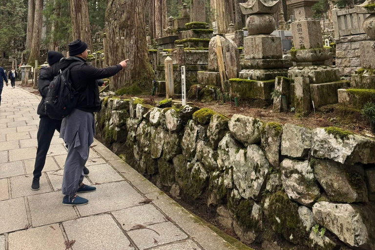 From Osaka/Kyoto: Mt. Koya & Nachi Falls Private Day Trip