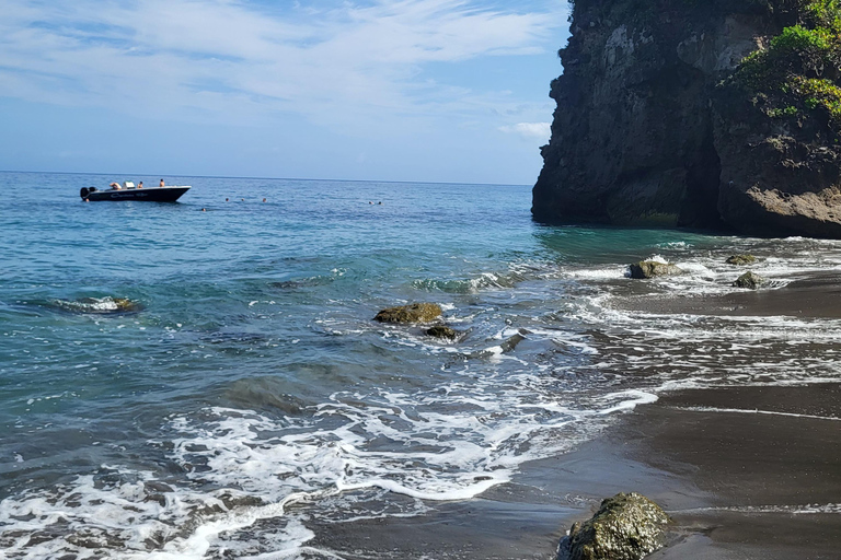 Martinique: Dolphins & Coral Reefs Tour Martinique: Dolphins & Coral Reef Tour.