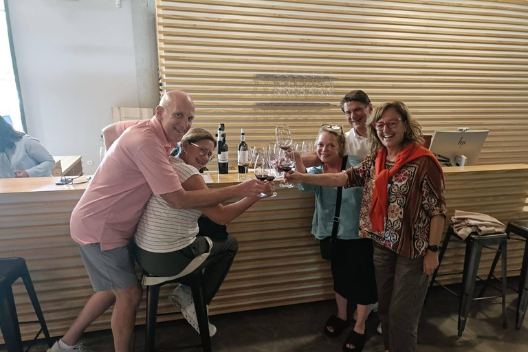 Rioja: Wine Tour with a Local Expert with Tastings