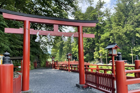 Porte de Nikko de luxe ; visite guidée privée