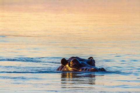 Riversong Zonsondergang Luxe Zambezi CruiseLuxe optie bij zonsondergang