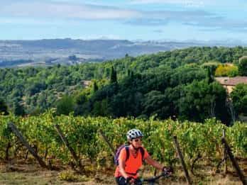 E-Bike Tour und Verkostung