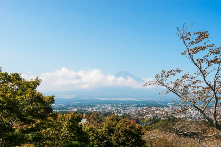 Desde Tokio: viaje turístico de día completo al monte FujiTour compartido