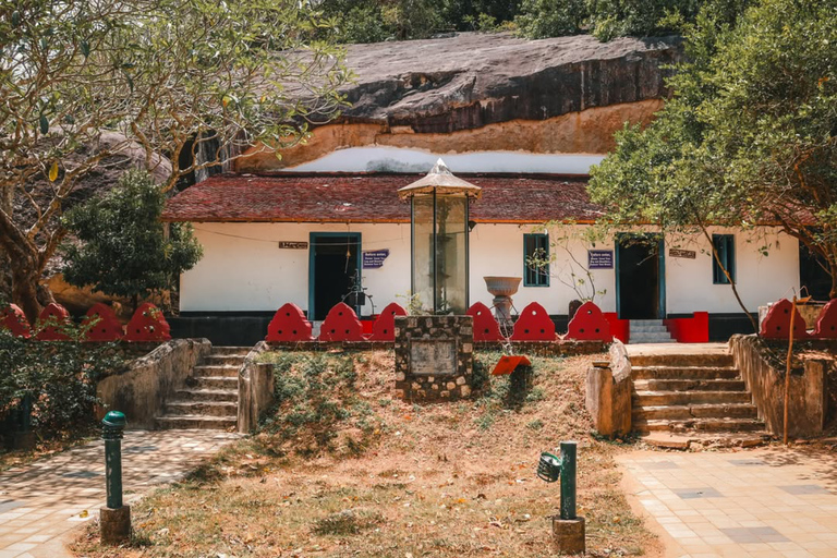 Sigiriya: Pidurangala Rock Hike & Minneriya Jeep Safari